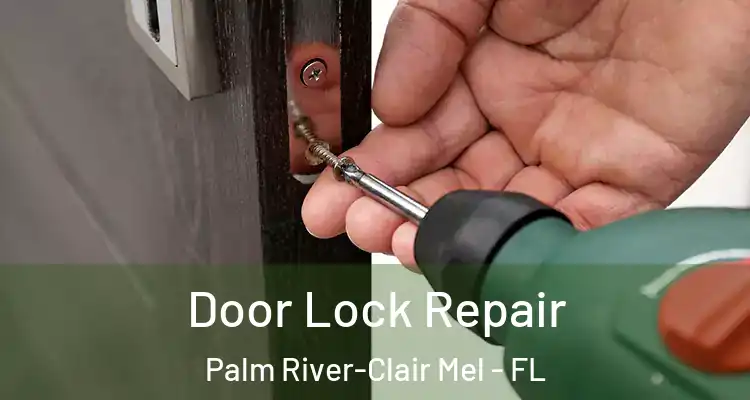  Door Lock Repair Palm River-Clair Mel - FL